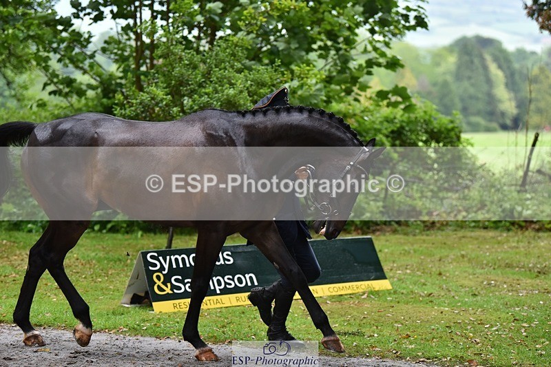 240522-162438-00897 - 205-BENOIT_BOLD-Felix_Etzel