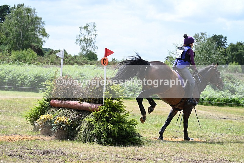 WJ7_5591 - Time 13:29pm to 13:53pm