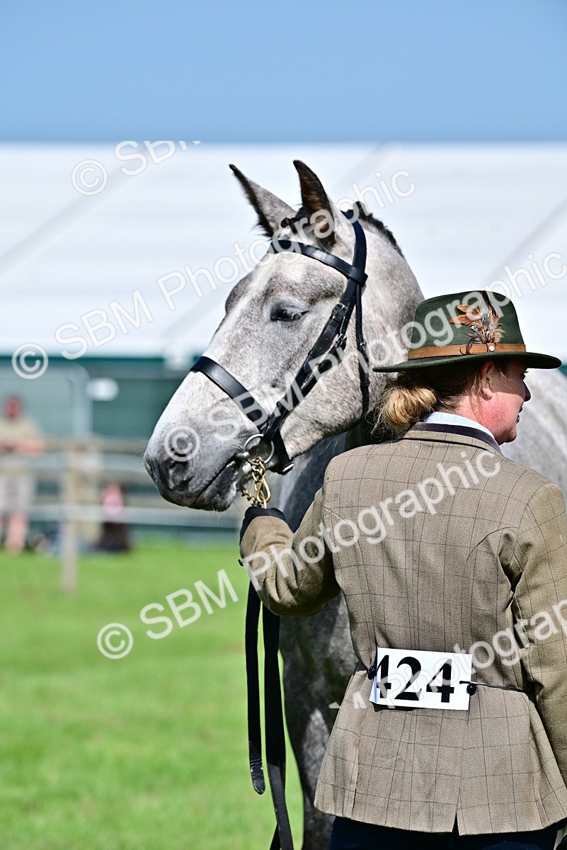 SBM_03334 - Class 50 - 54 Light Horse Breeding