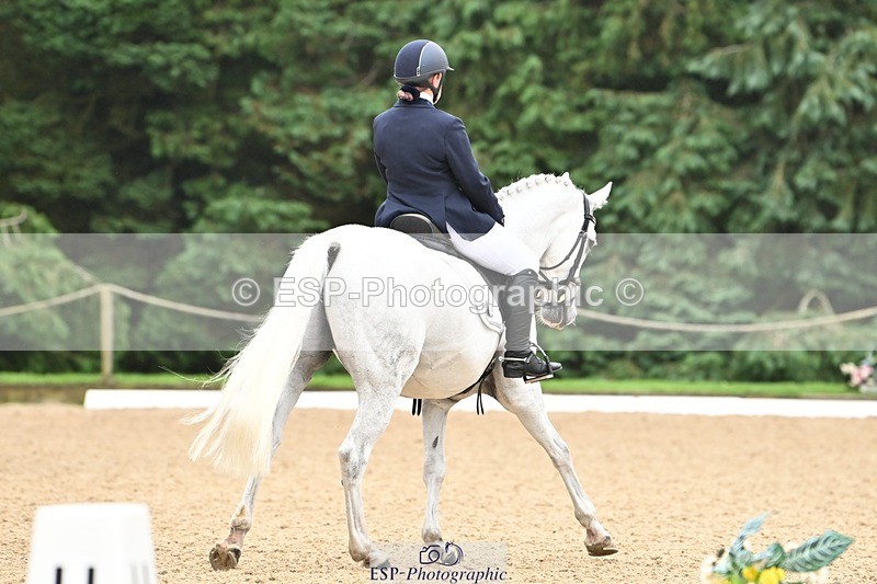 240811-110306-05076 - 164-Amelia.Struel-Tanzanite.Silver.Lining