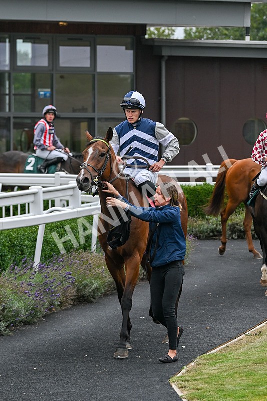 180825-Race 5-Another Baar-8982 - Race 5