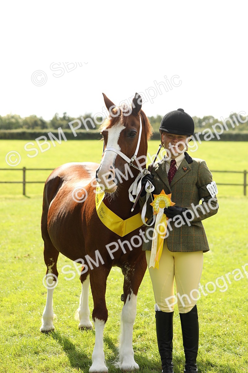 SBM_65513 - S47 - Mountain & Moorland In Hand Large Breeds