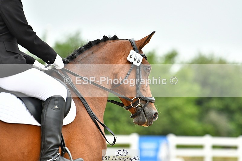 230708A-111907-02547 - Prelim 13