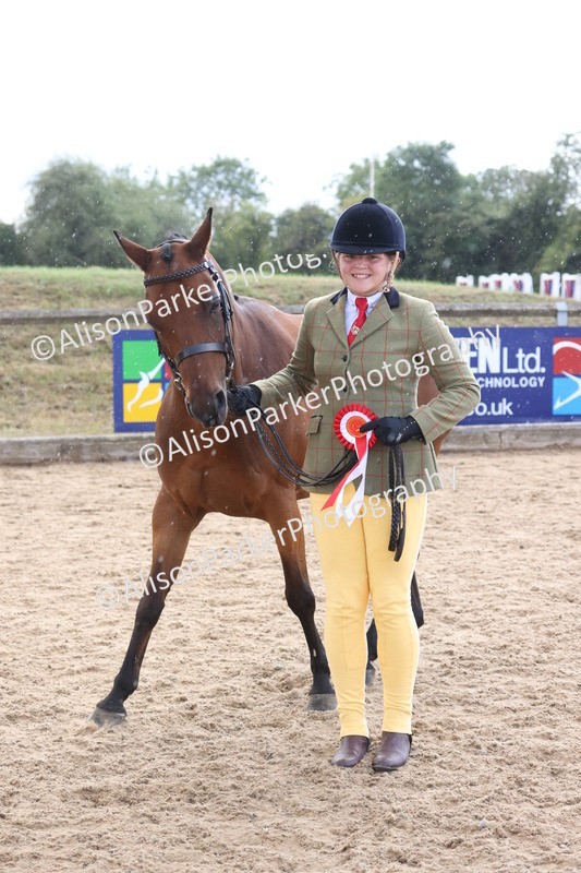 20260831-2368 - Class 9 - Show Pony and Show Hunter