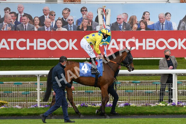 yr14052021r7-11 - Race 7 4.50pm Irish Thoroughbred Marketing Stakes