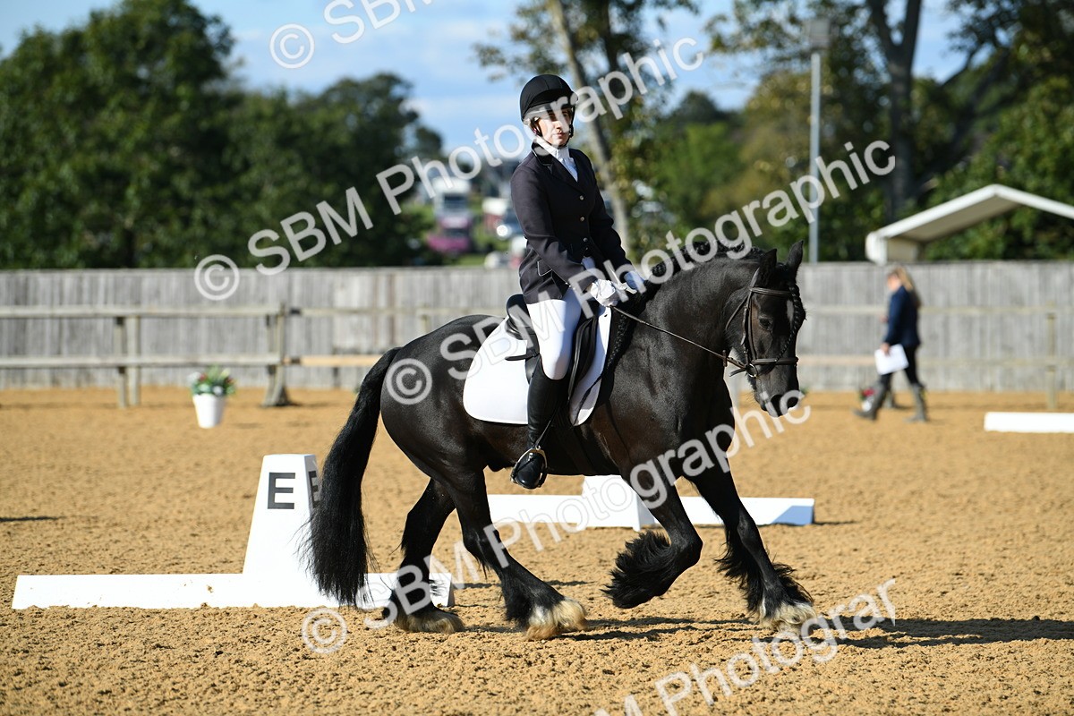 SBM_28456 - D16 - Small Tour Championship - Novice 28