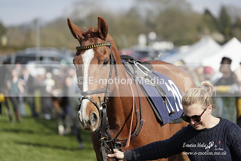 PtP 080423 688 - Dingley Races The Woodland Pytchley Hunt PtP 08/04/23