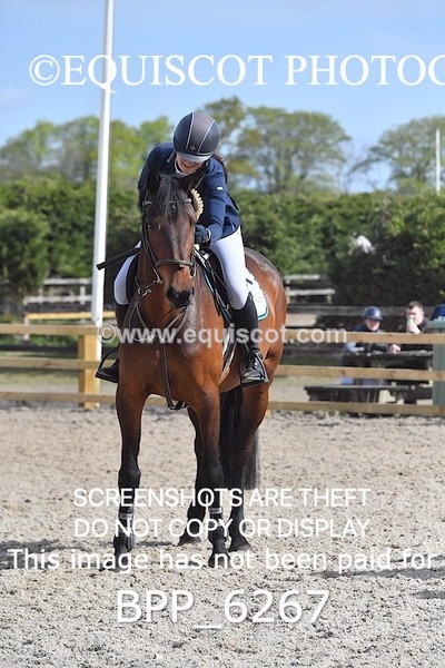 BPP_6267 - CLASS 32 MON Club/ Unaffiliated 80cms Open