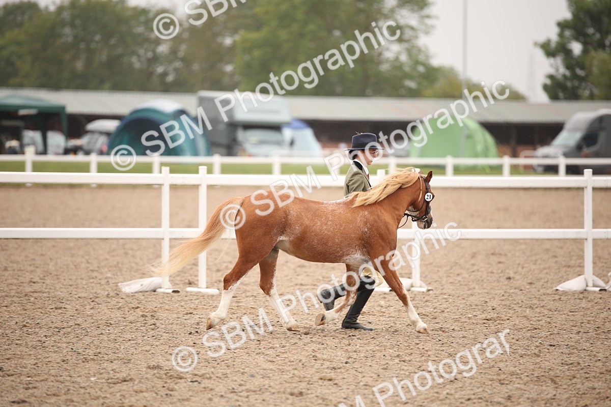 SBM_20181 - Class 703 - IH  Coloured