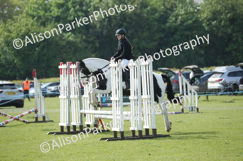 20260426-1468 - Class 14 - Novice 60cm
