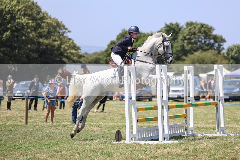 3E7A4407 - Class 10: Senior British Novice/90cm open