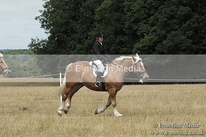 _PJP6061 - BVRC Show 2018 Ring 1
