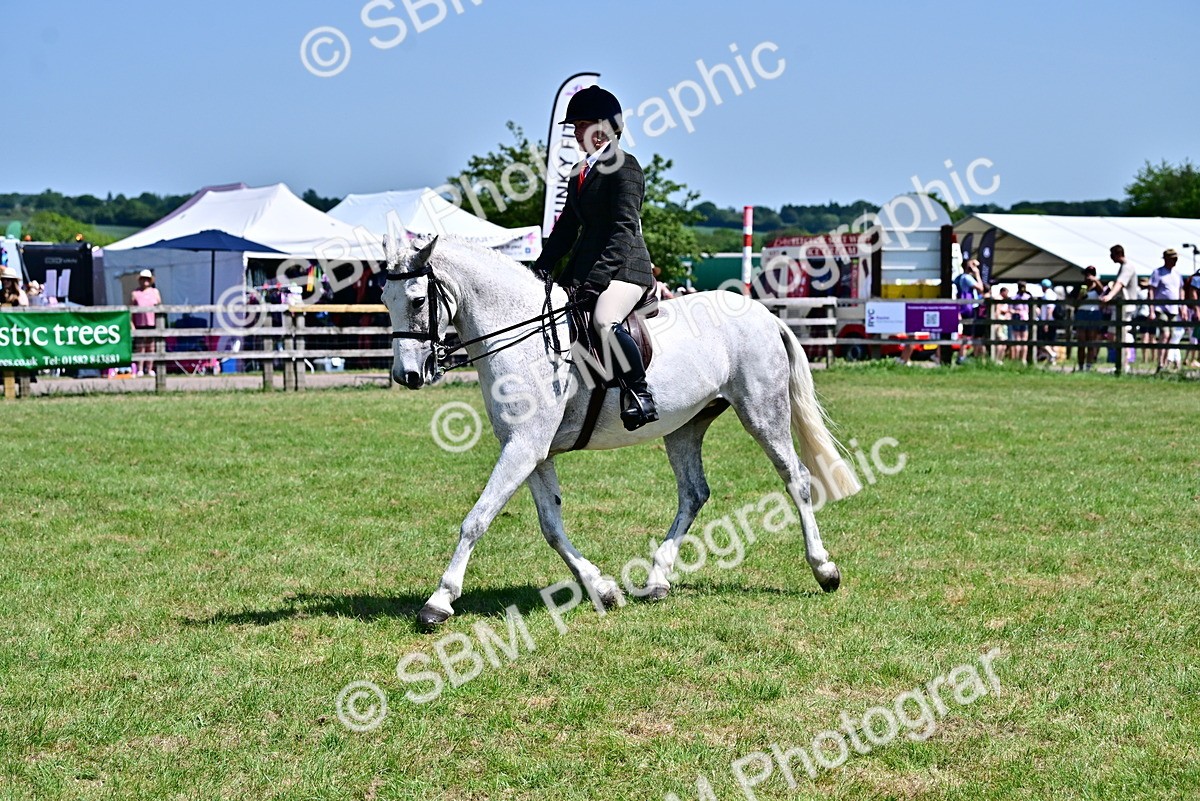 SBM_17463 - Class 95-97 - BSPS LHS Performance Ponies