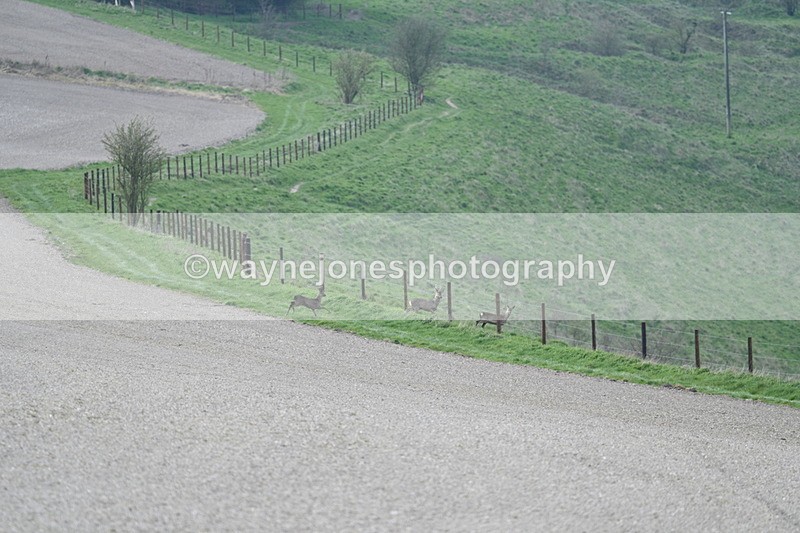 WJ7_7975 - Line 2 A camera