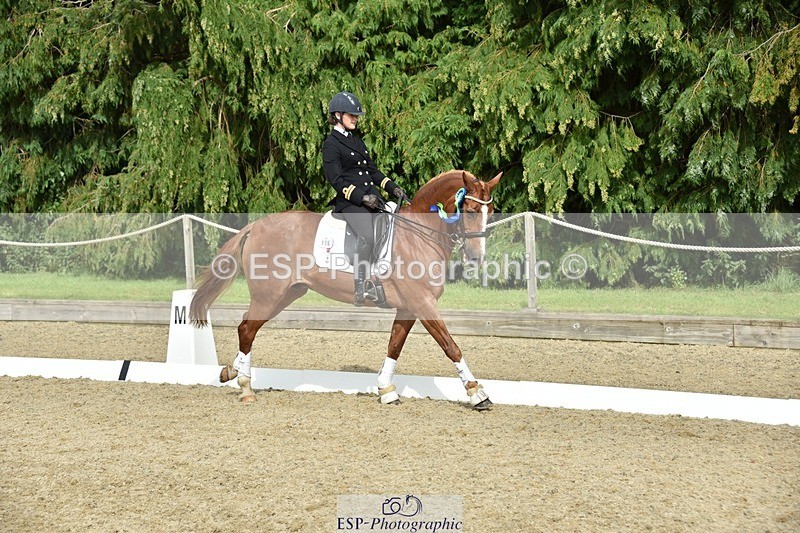 230812-160254-05321 - FEI PSG Bronze Presentations