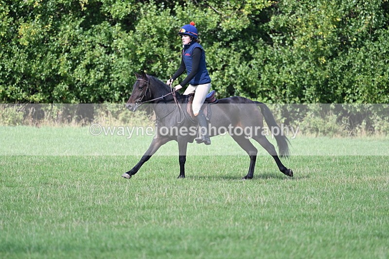 WJ7_1098 - Time 13:56 to 14:24