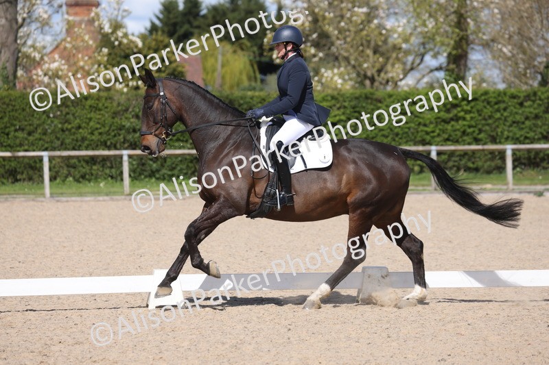 20260405-0558 - Class 7 - Medium 5