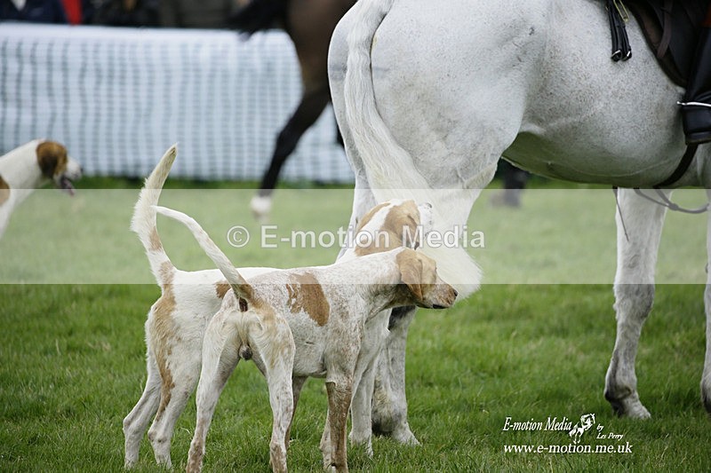 PtP 050322 234 - The Beaufort Races Didmarton 05/03/22
