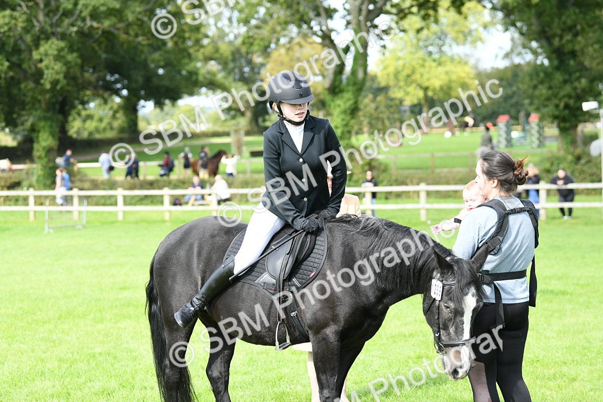 SBM_46837 - S12 - Family Horse & Pony