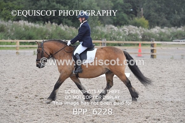 BPP_6228 - ELEMENTARY TEST 4 LONG ARENA