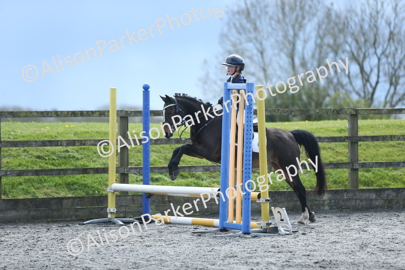 20260412-1800 - Show Jumping