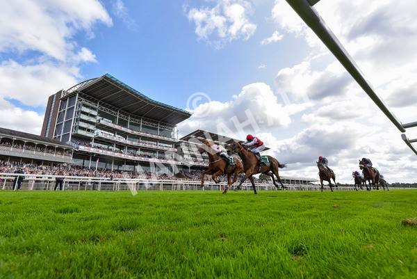 230824-Race 2-Vauban-4215 - Race 2 2.25pm Weatherbys Hamilton Lonsdale Cup Stakes