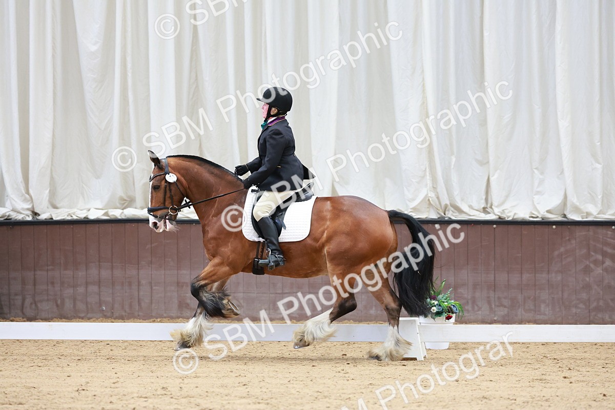 SBM_008108 - Class 6b - Novice 6 - 9.28-10.41