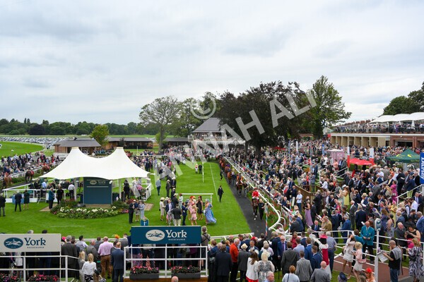 yr19082021r2-7 - Race 2 2.25pm Goffs UK Premier Yearling Stakes