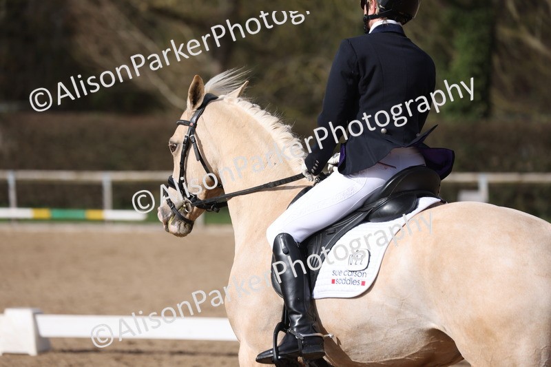 20260301-0647 - Class 4 - Novice 5