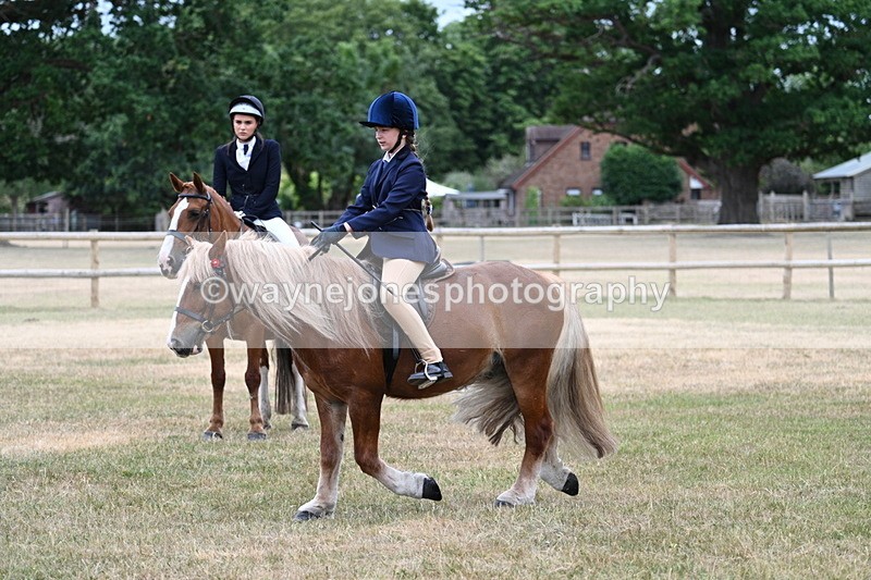 WJ7_0444 - Class 2 Best rider