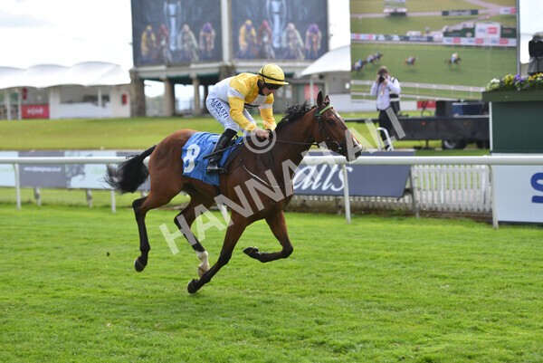 yr12052021r5-24 - Race 5 3.40pm Sky Bet Stakes