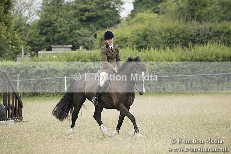 B230619-0090 - Bourne Valley Riding Club Summer Show 23/06/19