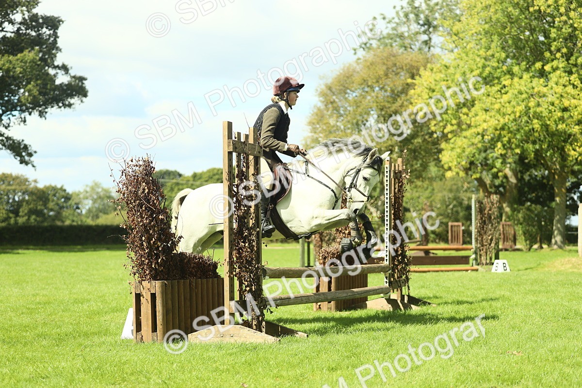 SBM_42950 - S30 - M&M Working hunter Pony