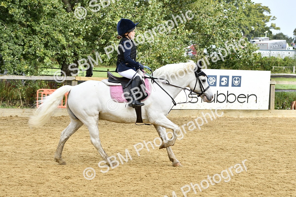 SBM_57178 - J61 - Mini Clear Round 30cm & 40cm