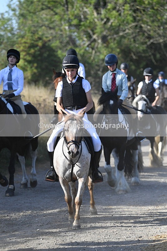 WJ5_4962 - Walk out with the hounds