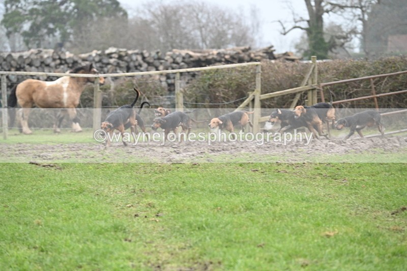 WJ6_5870 - Camera A