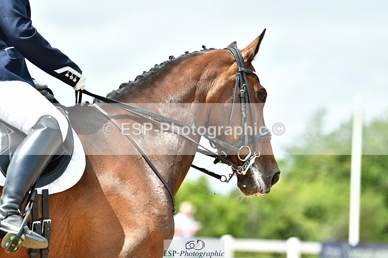 230702A-143203-10696 - Cls 32 Medium 73