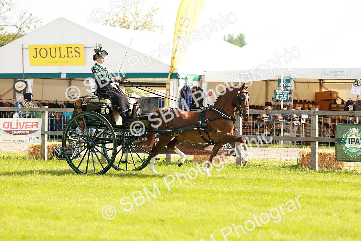 SBM_01160 - Class 2-4 - HOYS Private Driving