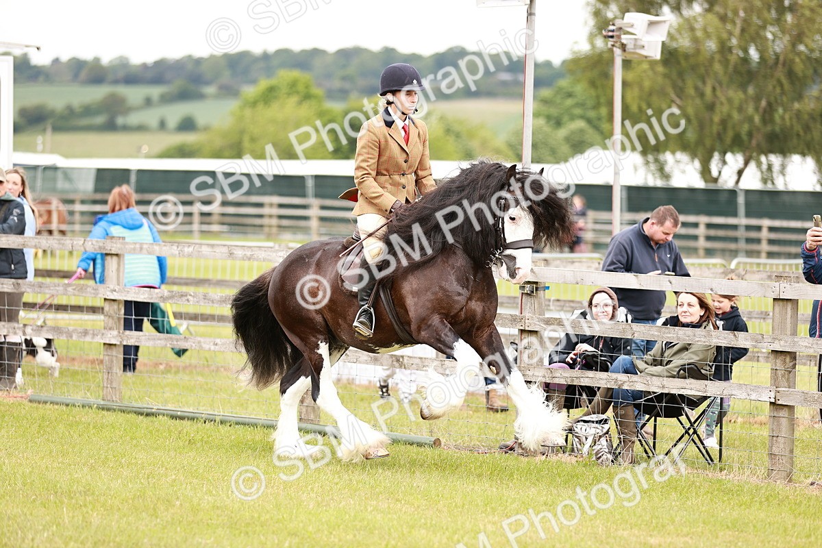 SBM_06124 - Class 39-41 TGCA In Hand and Ridden