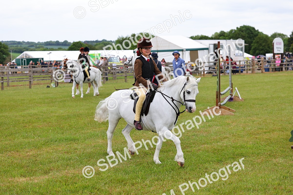 SBM_08878 - Class 42-43 - LIHS BSPS Heritage Working Sports Pony
