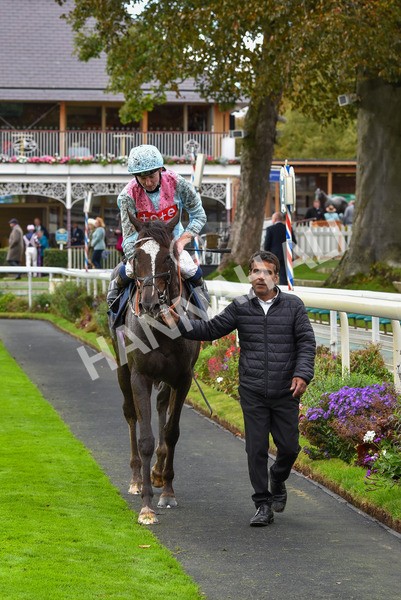 131023-Race 2-Lordship-9232 - Race 2 2.40pm William Hill Finale Handicap