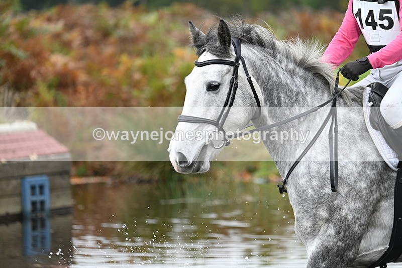 WJ7_1131 - 80cm Cam 2 Water Time 11:29 to 11:46