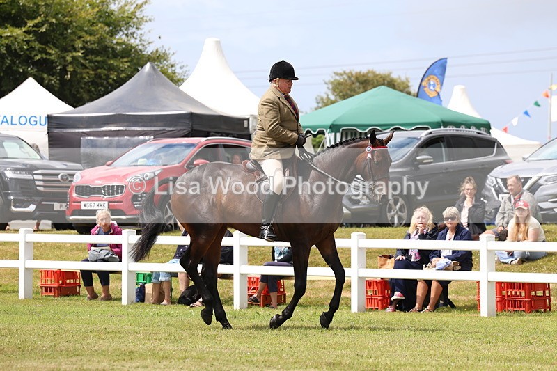 3E7A0871 - Class 8: Open Riding Horse/Hack