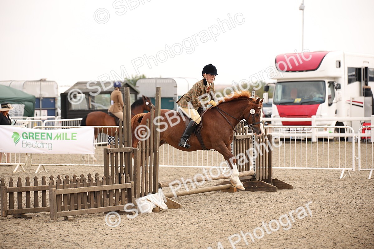 SBM_12258 - Class 405a - M&M Working Veteran 50cm (15-19)