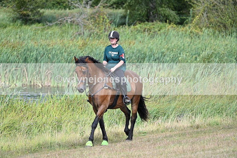 WJ7_4874 - Time 11:17 to 11:22