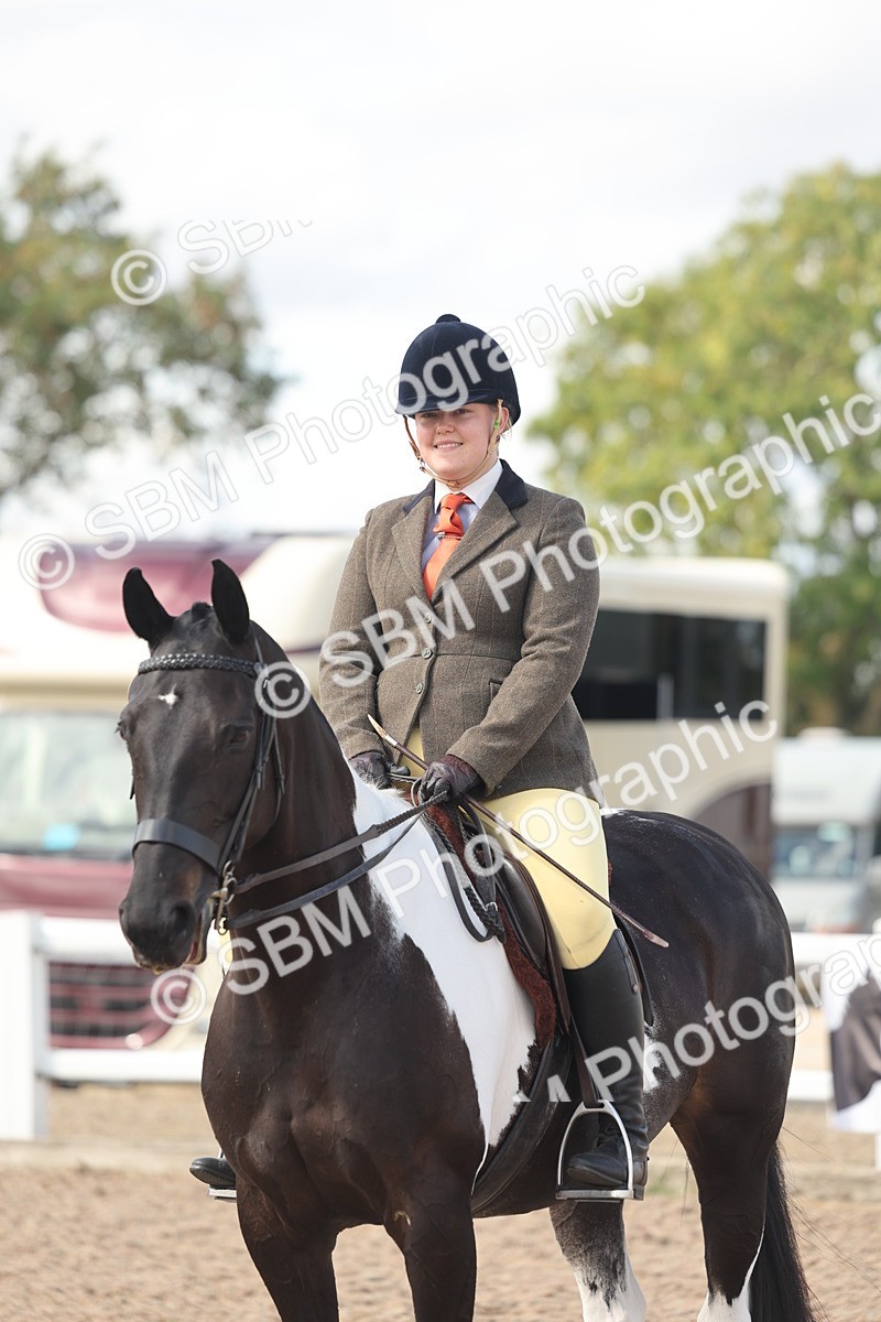 SBM_14808 - Class 308 - Ridden Coloured Horse