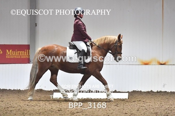 BPP_3168 - INTRO TEST 3