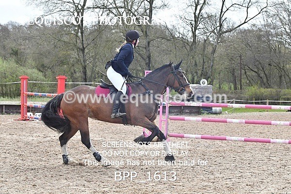 BPP_1613 - CLASS 8 Senior Newcomers/ 1.10m Open