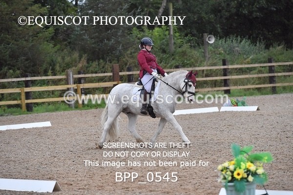 BPP_0545 - MFS PRELIM & NOV