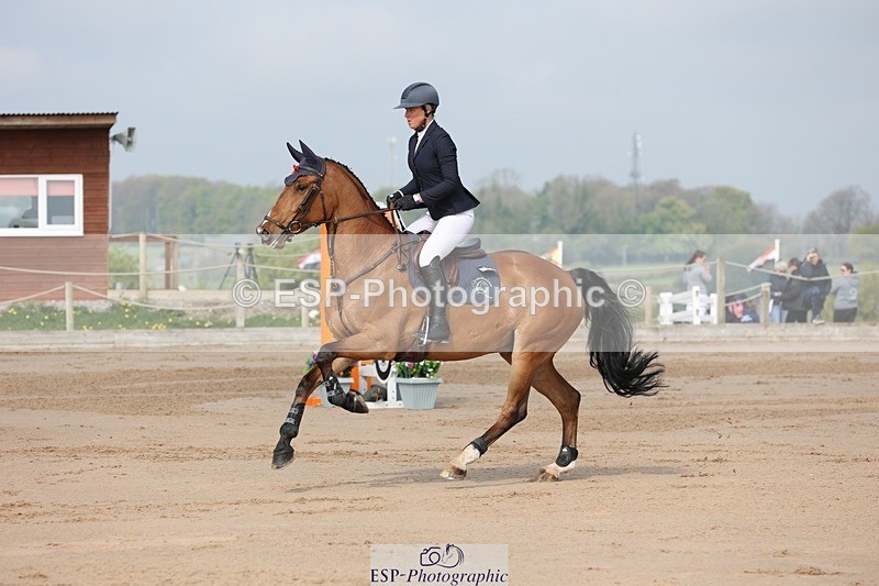 250424-102411-02990 - Cls 33 Young Horse 7yr old